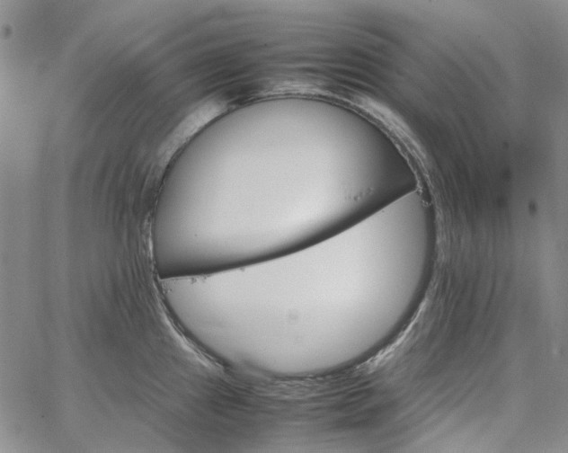 X0000067891241200604201301