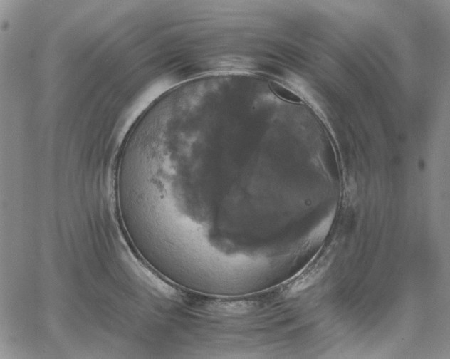 X0000067891243200604201301