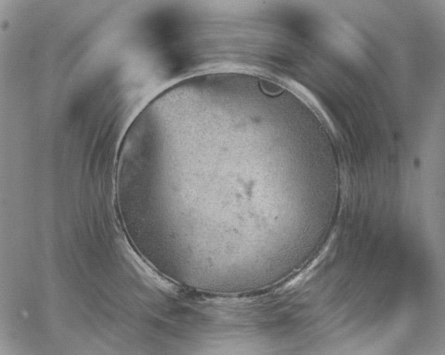 X0000067891244200604201301