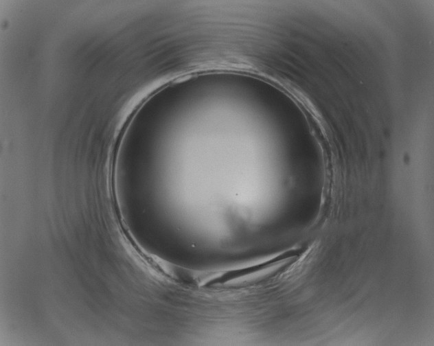 X0000067891246200604201301