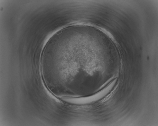 X0000067891247200604201301