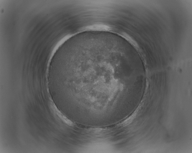 X0000067891248200604201301