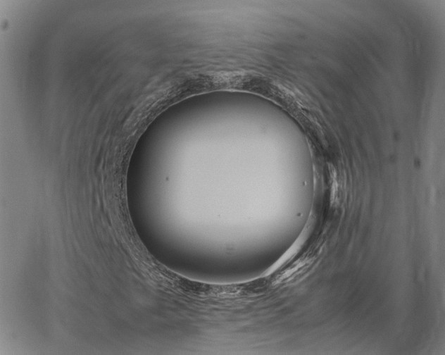 X0000067891249200604201300