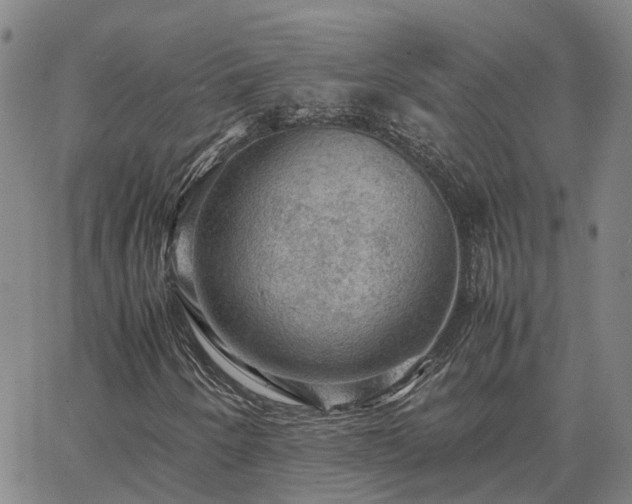 X0000067891250200604201300