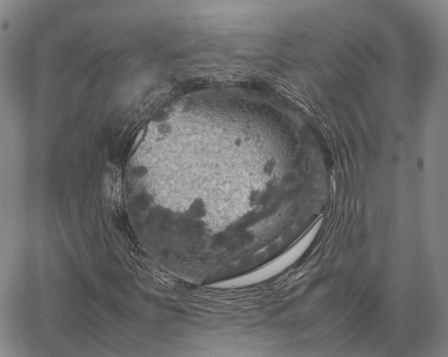 X0000067891251200604201300