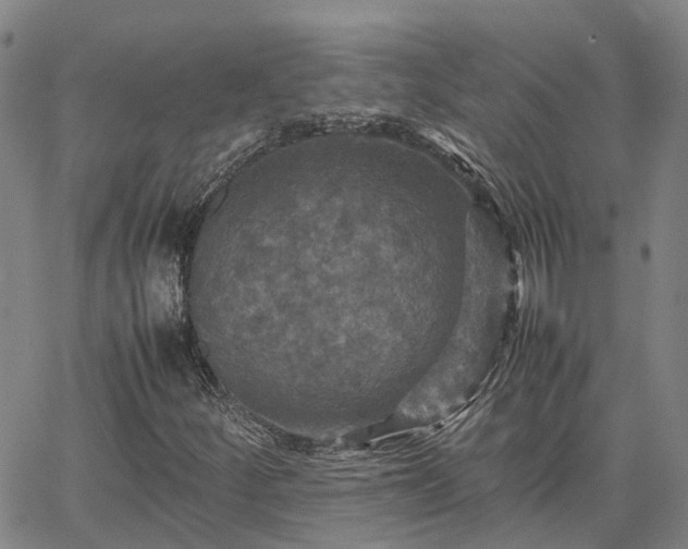 X0000067891252200604201300