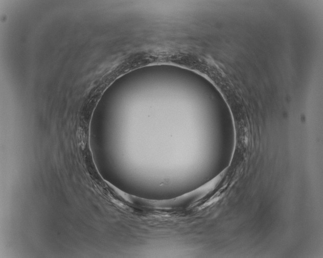 X0000067891253200604201300