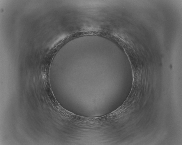 X0000067891254200604201300