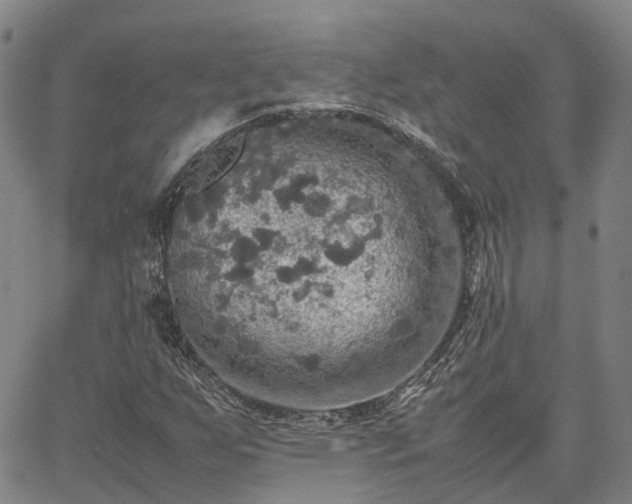 X0000067891255200604201300