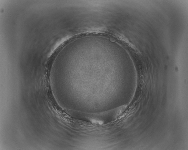 X0000067891256200604201300