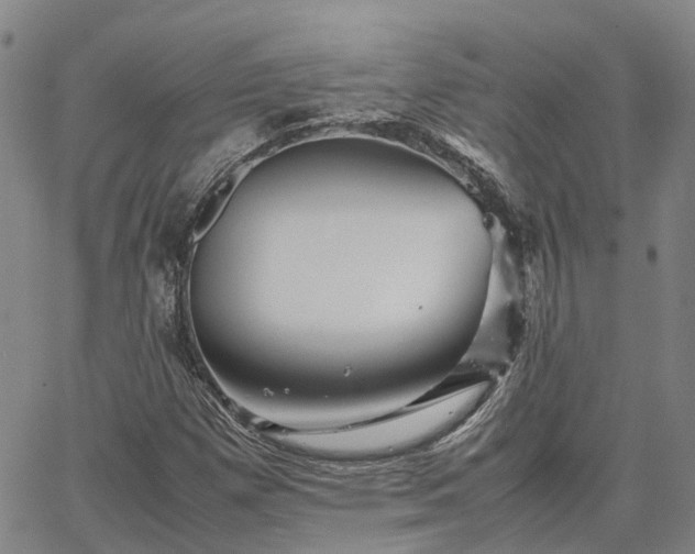 X0000067891257200604201300