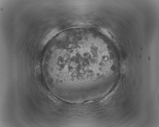 X0000067891259200604201300