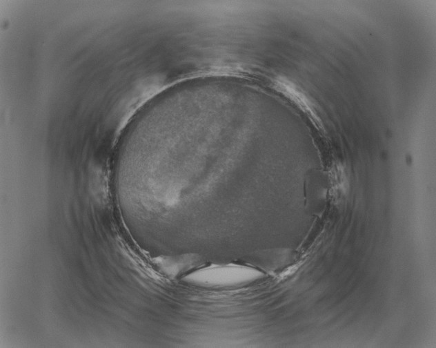 X0000067891260200604201300