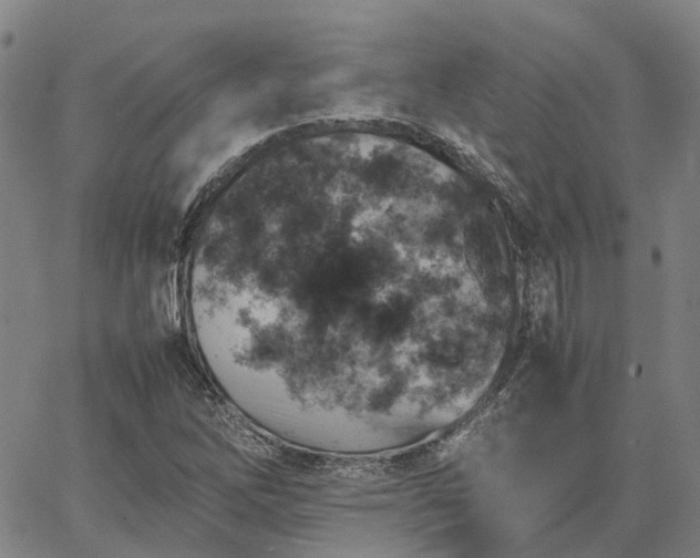 X0000067891262200604201300