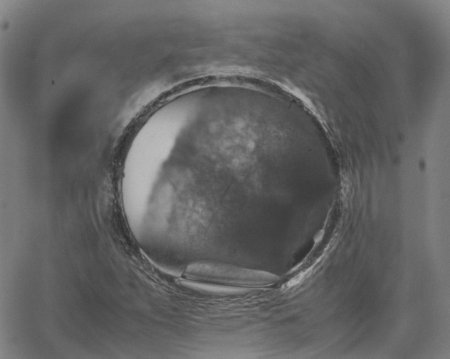 X0000067891263200604201300