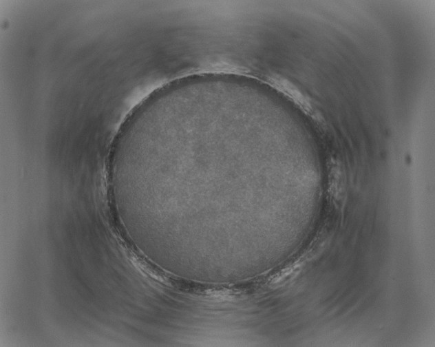 X0000067891264200604201300