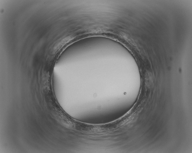 X0000067891265200604201300