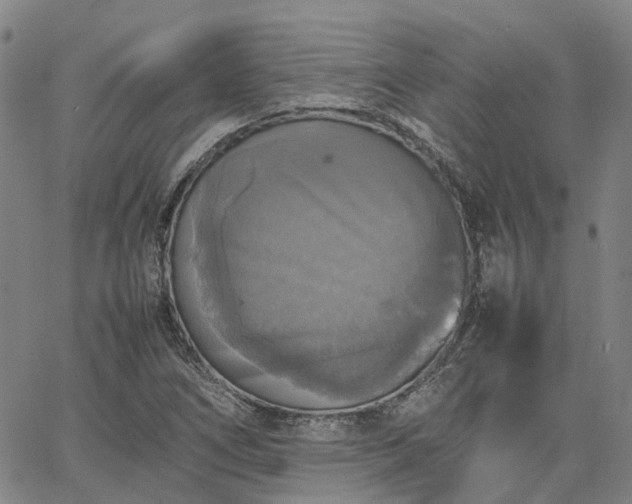 X0000067891266200604201300