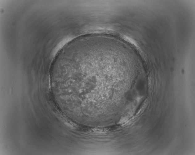 X0000067891267200604201300