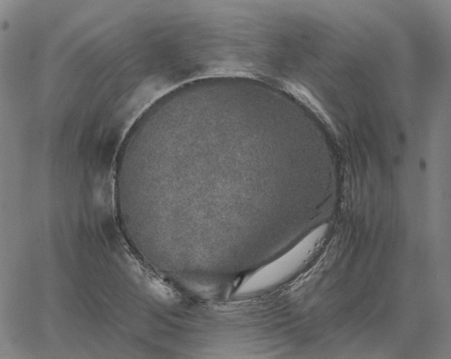 X0000067891268200604201300