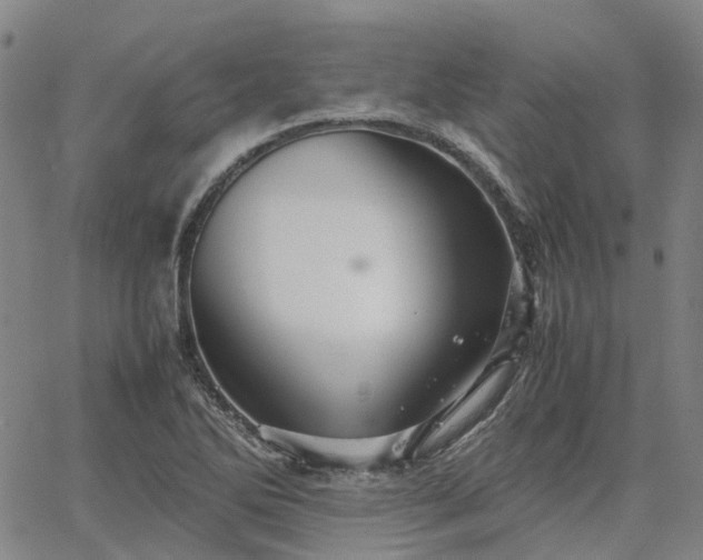 X0000067891270200604201300