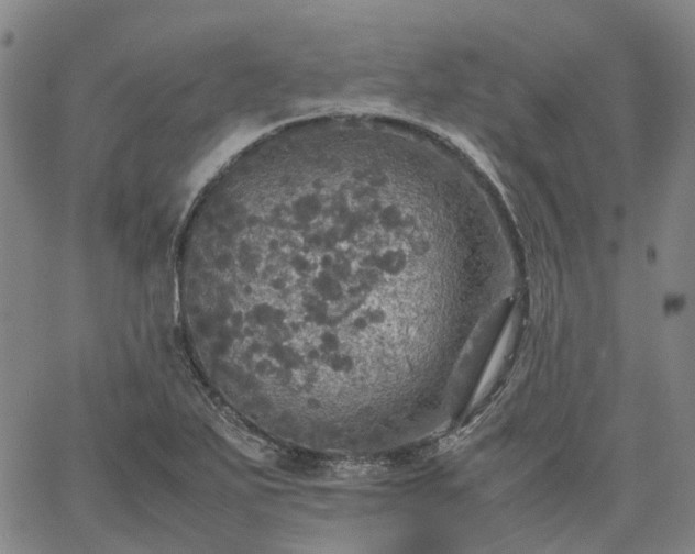 X0000067891271200604201300