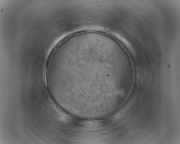 X0000067891272200604201300