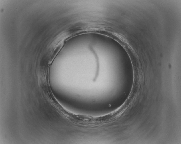 X0000067891273200604201300