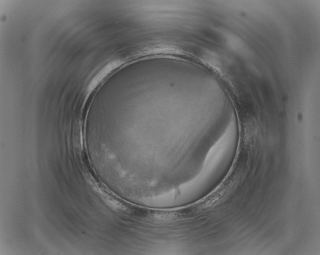 X0000067891274200604201300