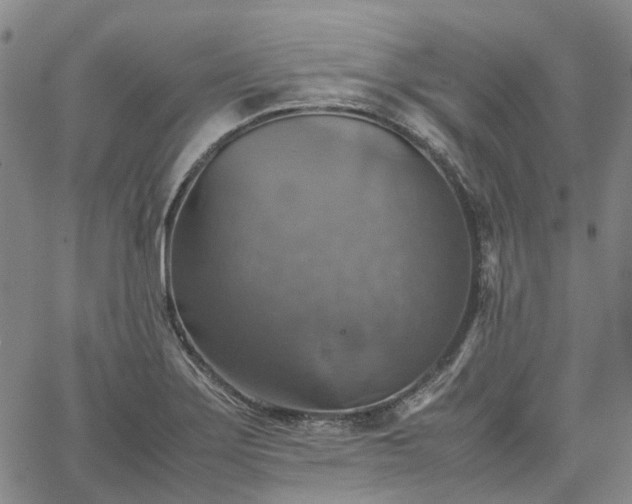 X0000067891275200604201300