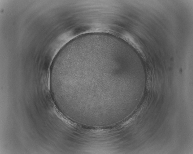 X0000067891276200604201300