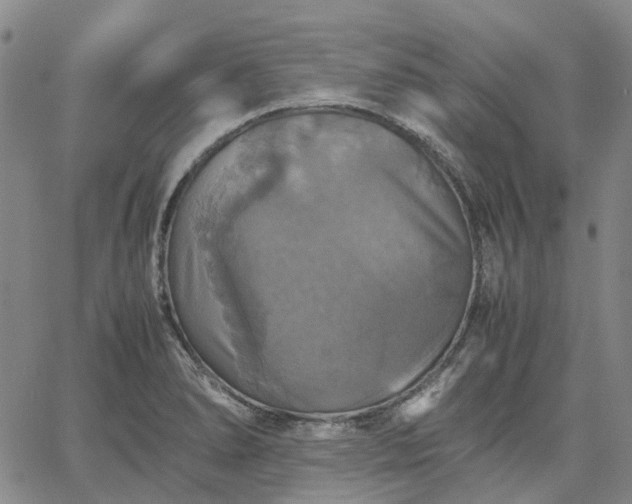 X0000067891278200604201300