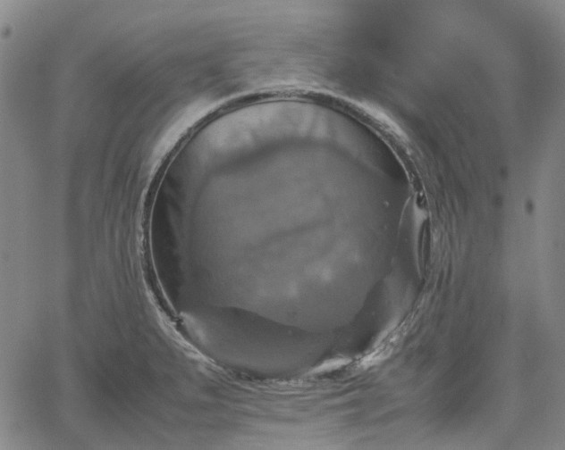 X0000067891279200604201300