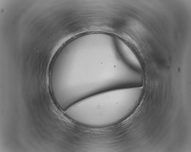 X0000067891280200604201300