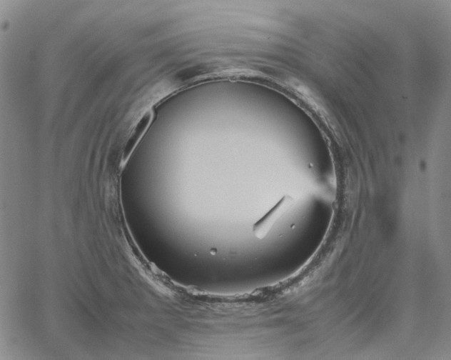 X0000067891281200604201300