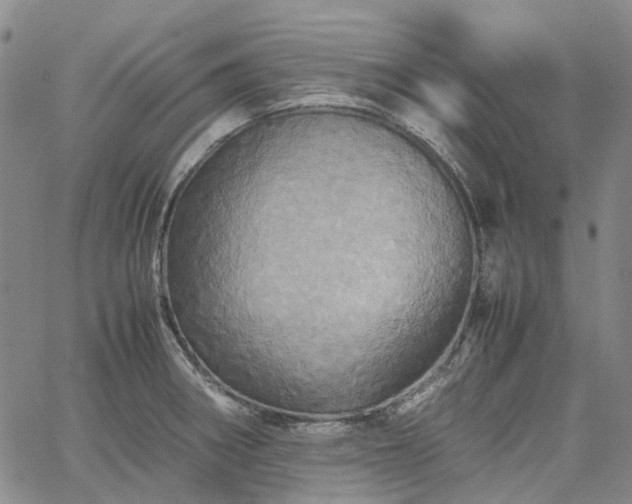 X0000067891282200604201300