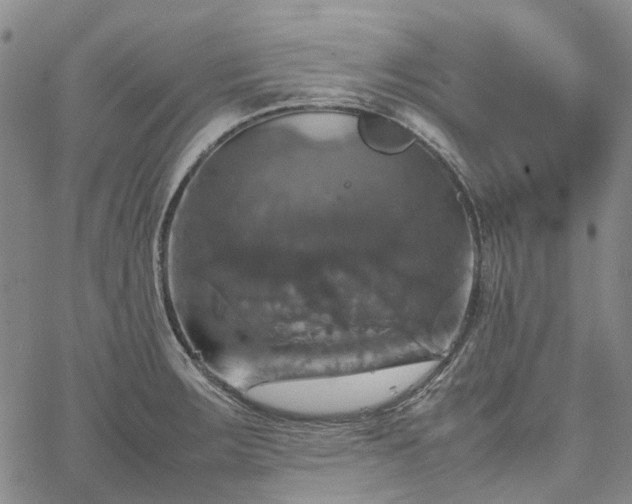 X0000067891283200604201300