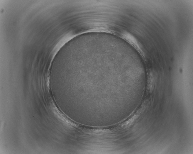 X0000067891284200604201259