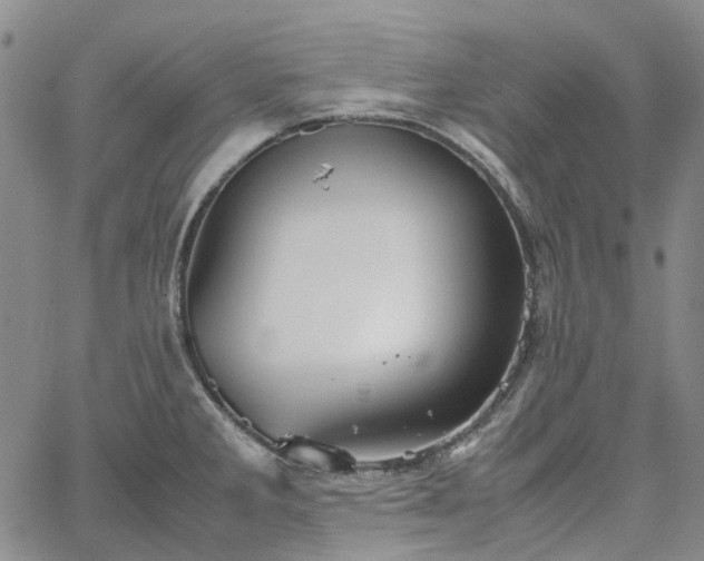 X0000067891285200604201259