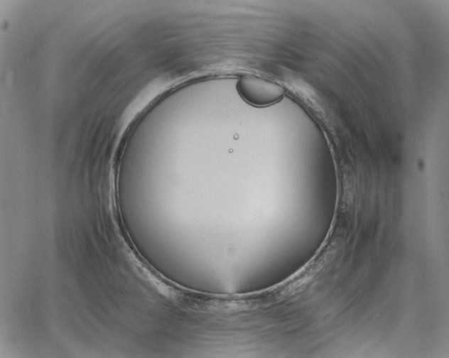 X0000067891286200604201259