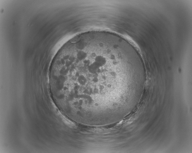 X0000067891287200604201259