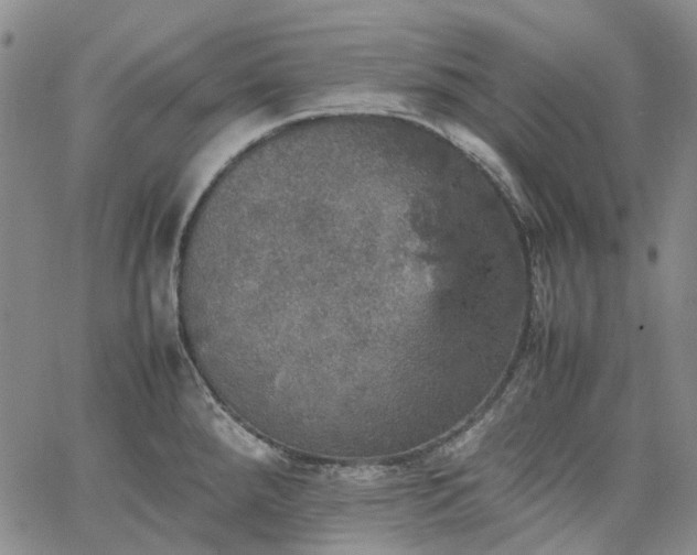 X0000067891288200604201259