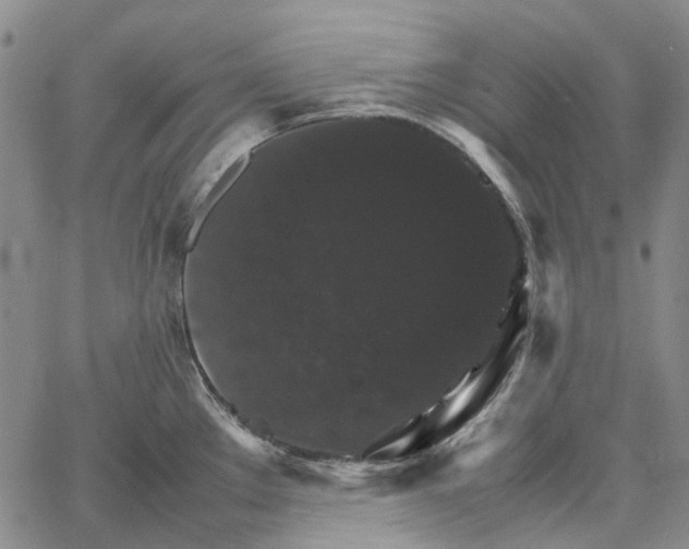 X0000067891289200604201259