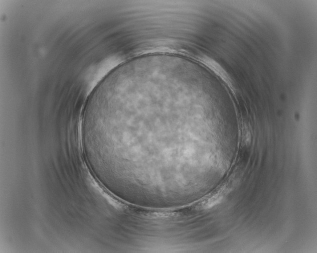 X0000067891290200604201259