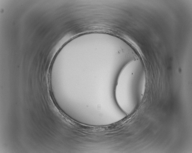 X0000067891291200604201259