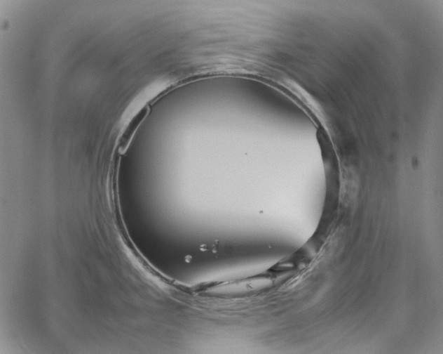 X0000067891293200604201259