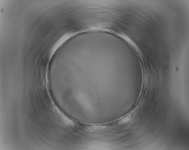 X0000067891294200604201259