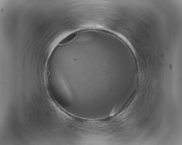 X0000067891295200604201259