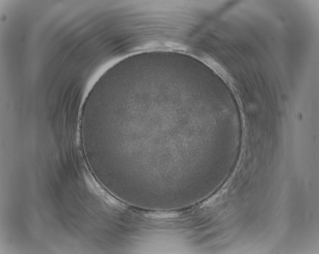 X0000067891296200604201259