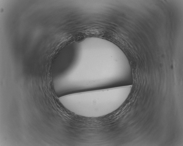 X0000067891297200604201259